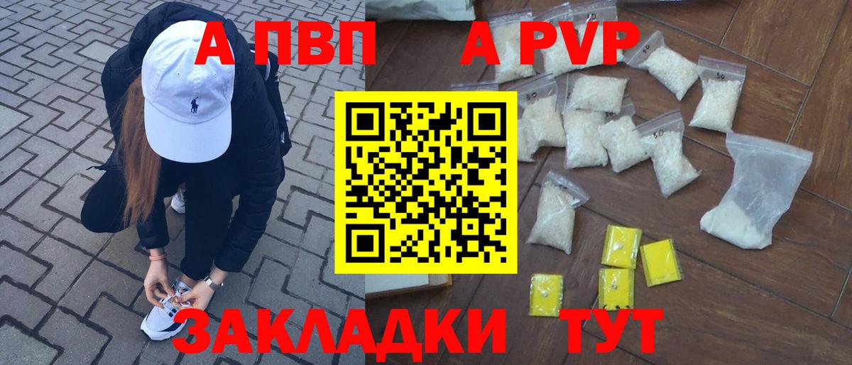 Будённовск  Alfa_PVP крисы CK  Вход с VPN  A PVP СК 