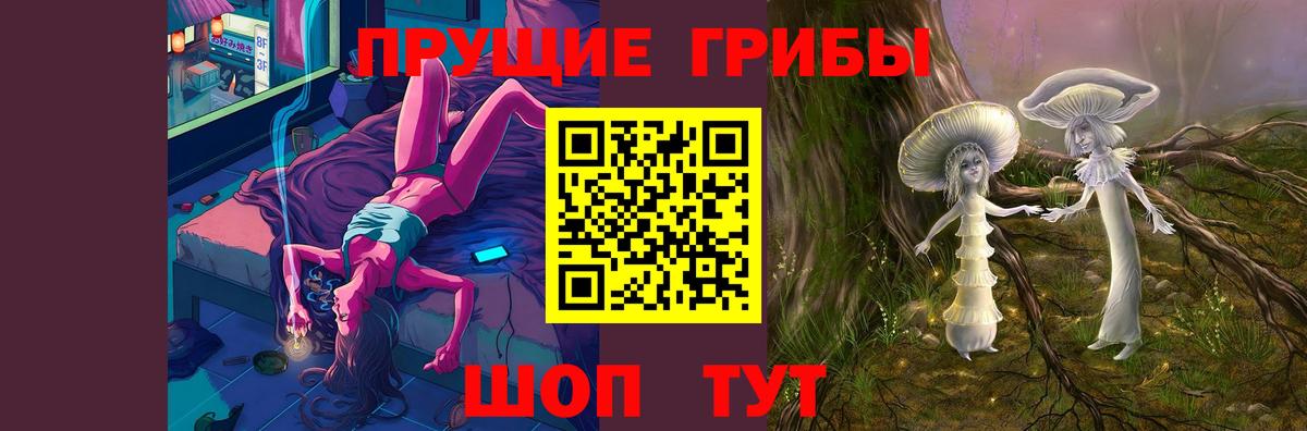 Псилоцибиновые грибы Cubensis Будённовск