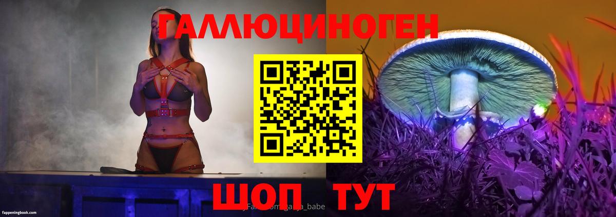 Будённовск  Псилоцибиновые грибы Cubensis  Вход с VPN 